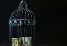 achieving financial freedom secrets