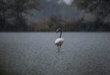 avoiding roblox bans effectively