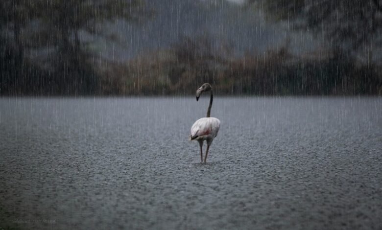 avoiding roblox bans effectively