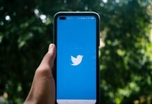 grow social media following