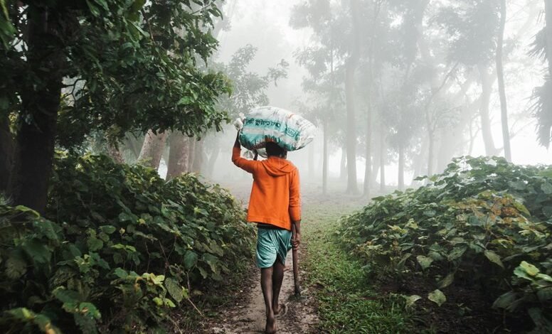 increase instagram followers strategy