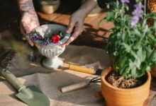 utilize yell51x ouz4 tools