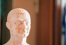 reference file number list